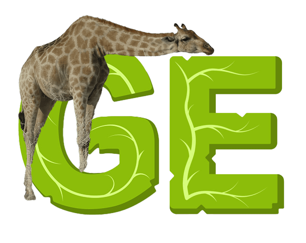 Giraf Eats